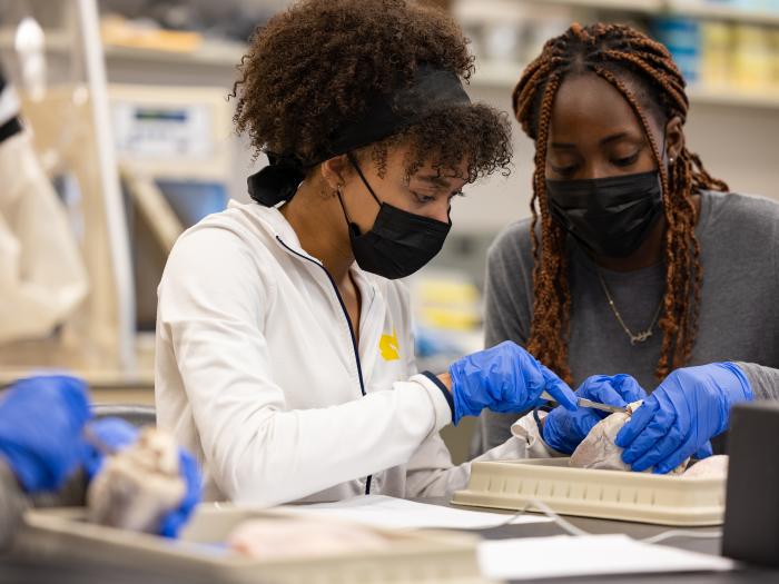 Two women training in the lab